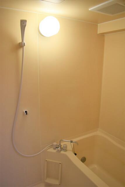 シャイネン市川の浴室