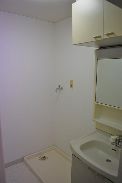 シャイネン市川の洗面所