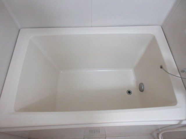 グレートサクシーの浴室