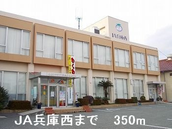 【周辺】 | ノース・フィオーレ | JA兵庫西まで350m