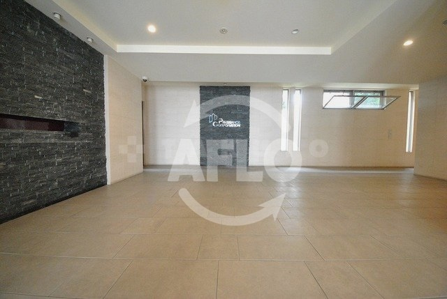 プレサンス心斎橋ルティアのエントランス|プレサンス心斎橋ルティア エントランス