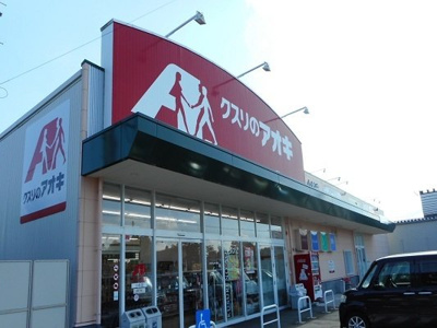 【周辺】 | グリーンヒルズ | クスリのアオキ小杉店まで750m