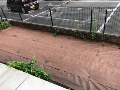 【その他】 | サニーパレス | 庭