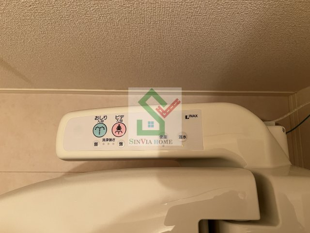 クローカスニイザAのその他