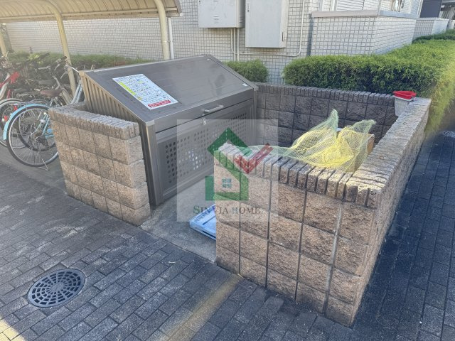 クローカスニイザAのその他