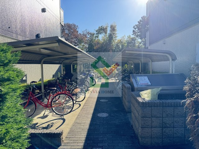 クローカスニイザAのその他