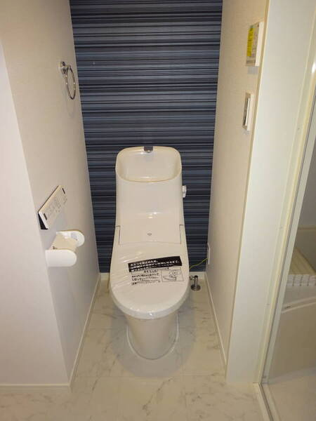 アザーレ・パッシオ生田壱番館のトイレ