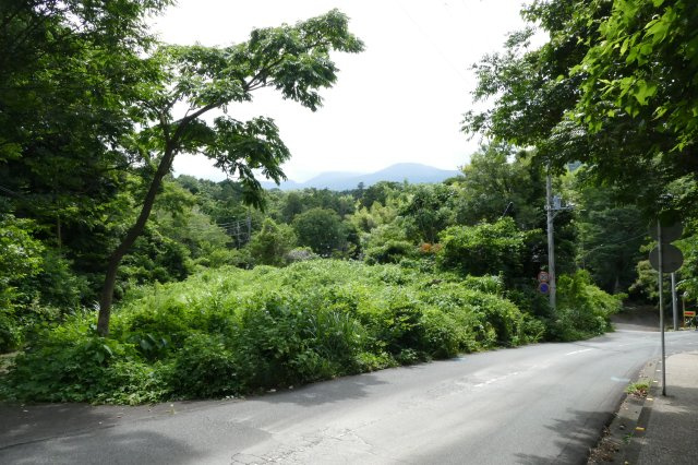 城ヶ崎海岸　土地の外観