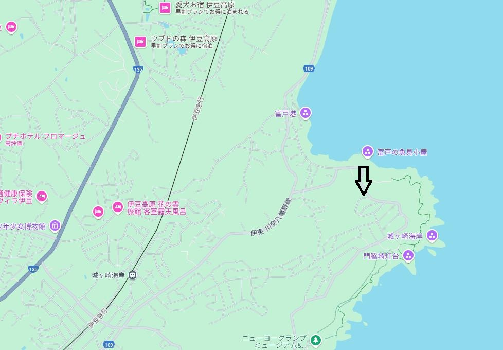 城ヶ崎海岸　土地の地図