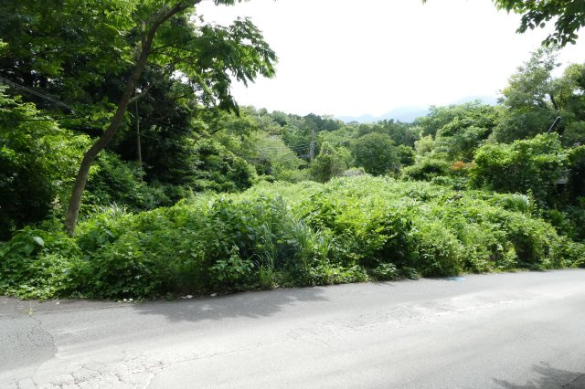 城ヶ崎海岸　土地