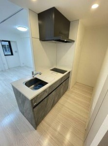 【キッチン】 | パレステージ鷺宮 | システムキッチン