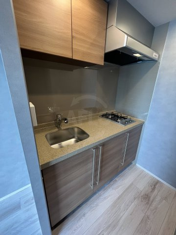 PHOENIX北堀江のキッチン|PHOENIX北堀江　二口ガスキッチン