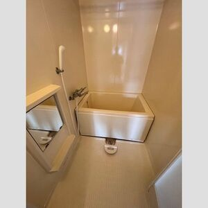 フローレス篠木の浴室