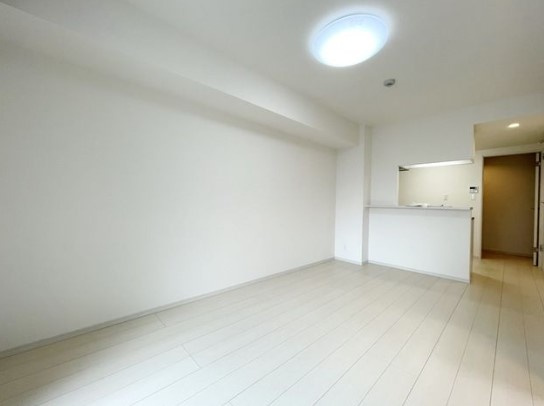 グレイス蓮根の居間・リビング