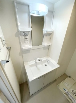 グレイス蓮根の洗面所