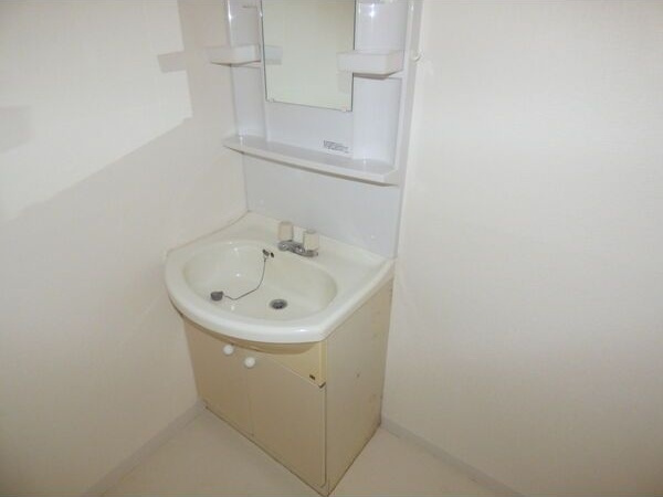 コーポラスノベルティD棟の洗面所