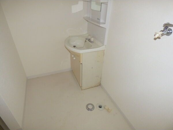 コーポラスノベルティD棟の洗面所