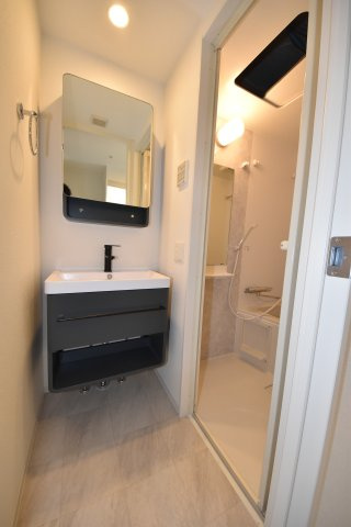 セレニテ難波グランデシュッドの洗面所