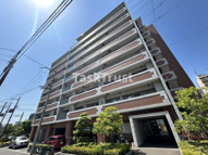 プリムールの画像