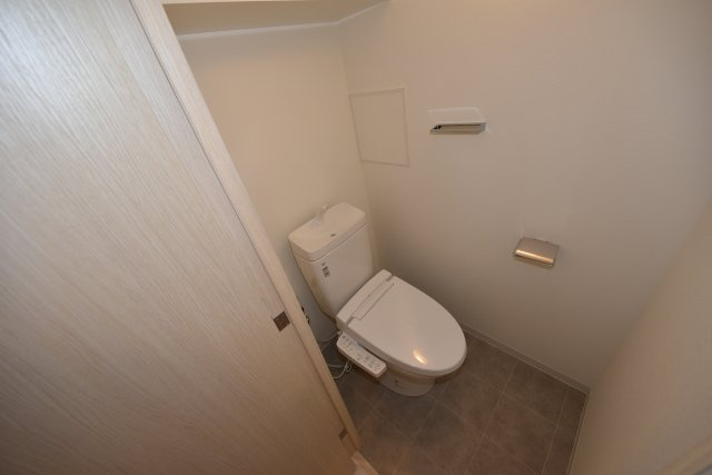 コンフォリア・リヴ谷町九丁目ソルテラスのトイレ