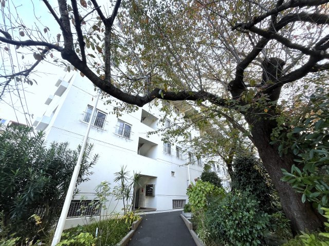 ドルフ青葉台４号棟の外観