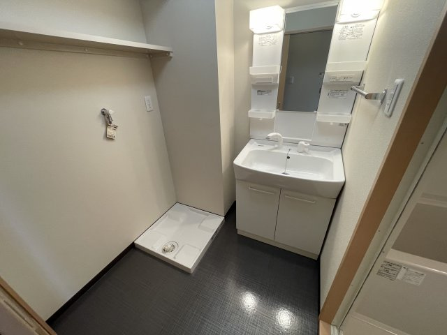 アルテマイスター清水の洗面所