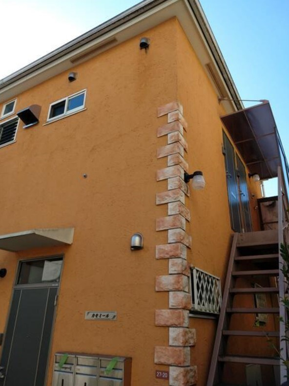 カモミールの外観