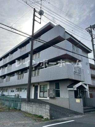 メゾンマロニエ