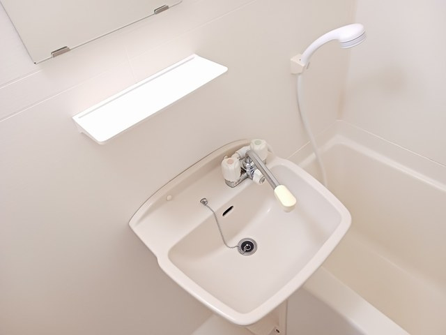 Ｐｒｏｇｒｅｓｓ壱番館の洗面所|洗面所