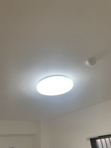 Feliz高石のその他