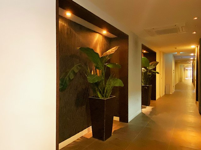 レーヴェンリゾシアヴェスティブルーのその他共用部分|エントランス付近のエレベーター前