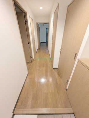  | リオンドール