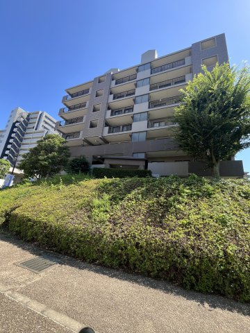 エヴァーグリーンアペックス一番館の画像