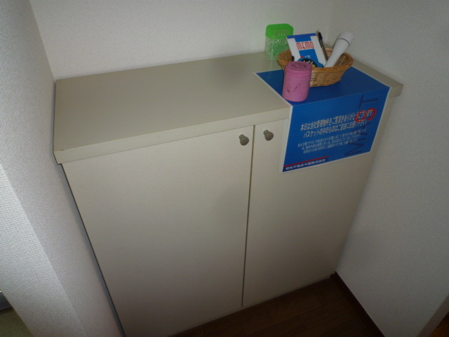 ディアスマーサのその他|シューズボックス