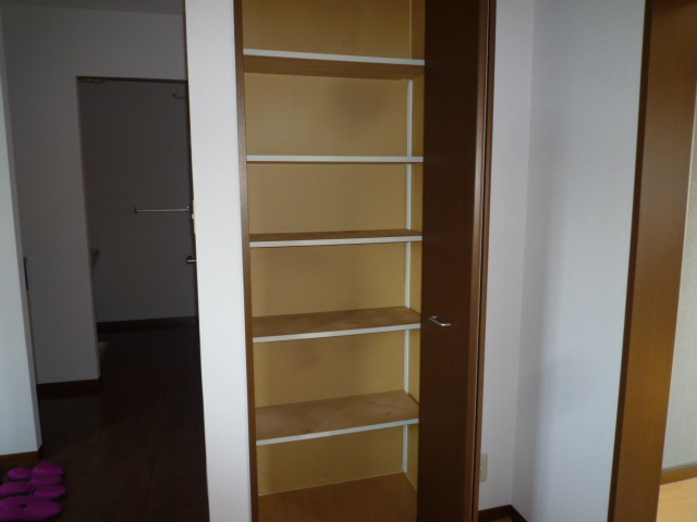 ディアスマーサの収納|キッチン収納