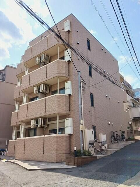 エバーグリーン