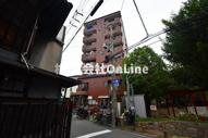 ロイヤル丸文Ⅱの画像