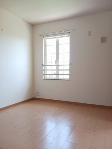 オリーブのその他