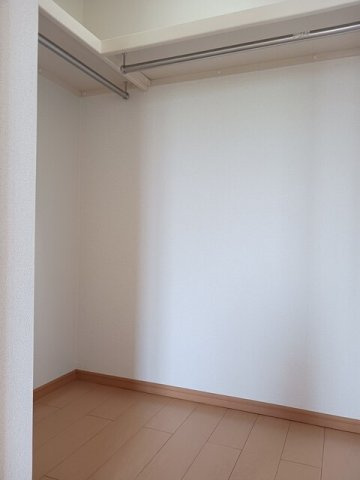 オリーブの収納