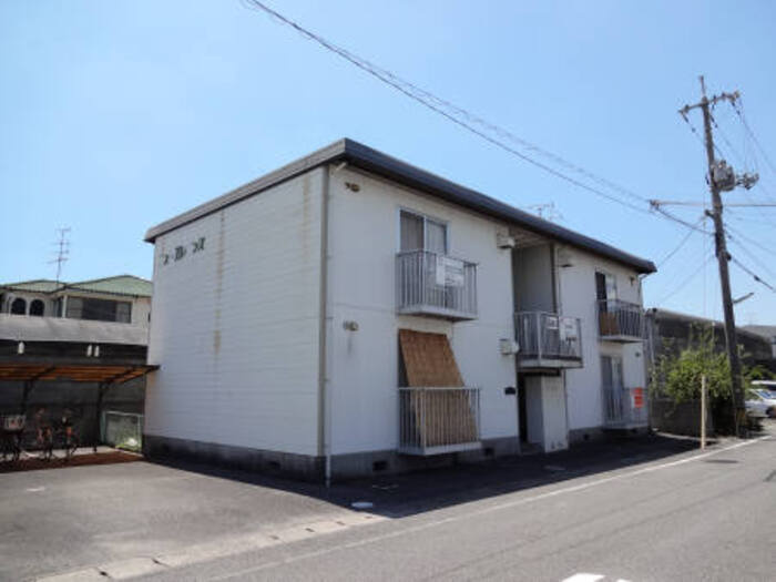 ニューエレガンス