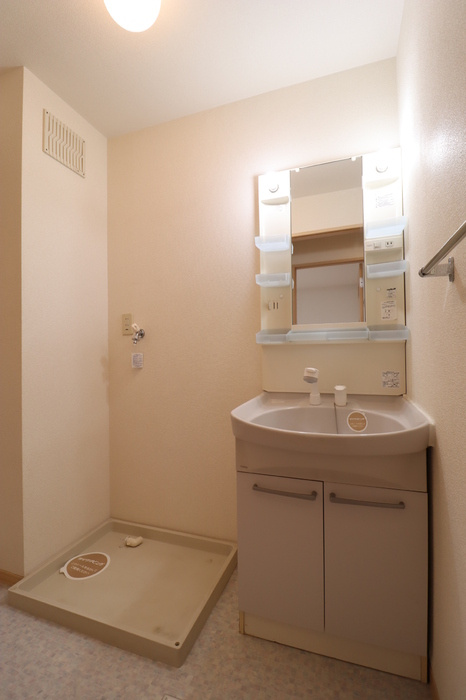 メゾンプリネール　A棟の洗面所