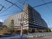 ウエリス島本の画像