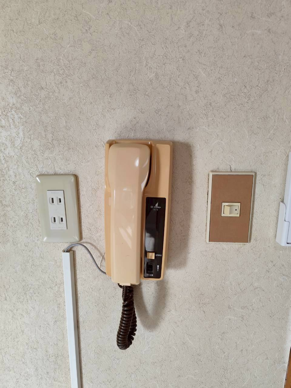 桜ヶ岡３丁目7貸家の玄関