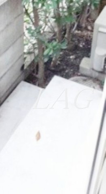 【バルコニー】 | 吉祥寺メゾン | テラスです。