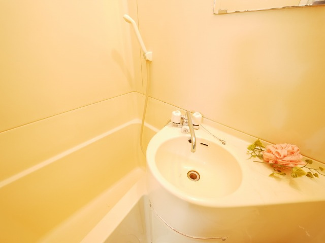 ラパンジール京町堀の浴室