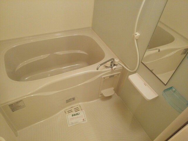 グリーン・ローズの収納