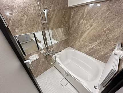 ダイアパレス大手町の浴室