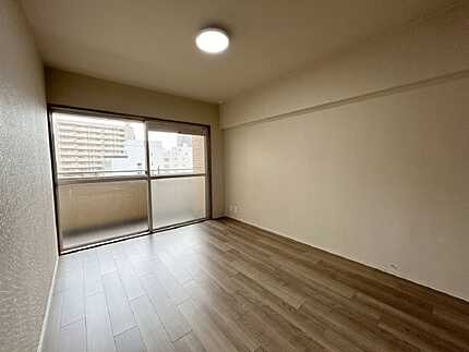 ダイアパレス大手町の洋室