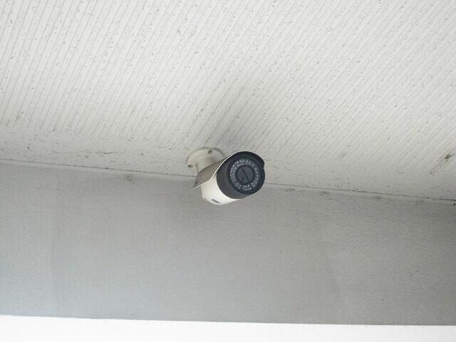 Ｅｖｅｒ　Ｇｒａｃｅのその他