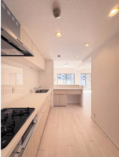 エンゼルパークソレイユ住吉　角　部屋　リ　ノベーションのキッチン